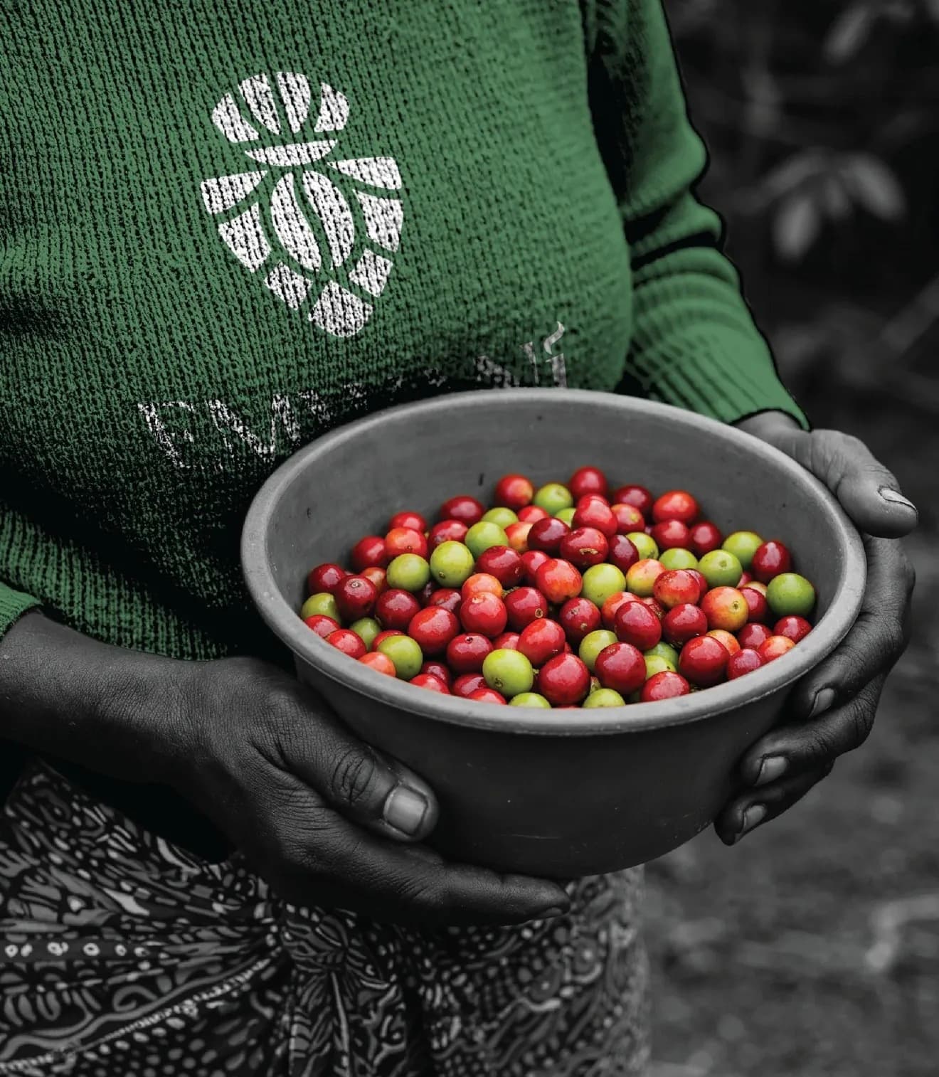 LEODGER LEONARD KACHEBONAHO